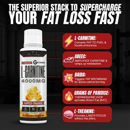 Liquid L-Carnitine 4000MG
